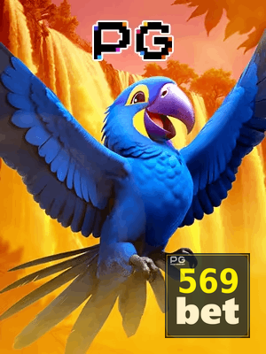 BET569 bônus — cashback 15 por cento e níveis VIP